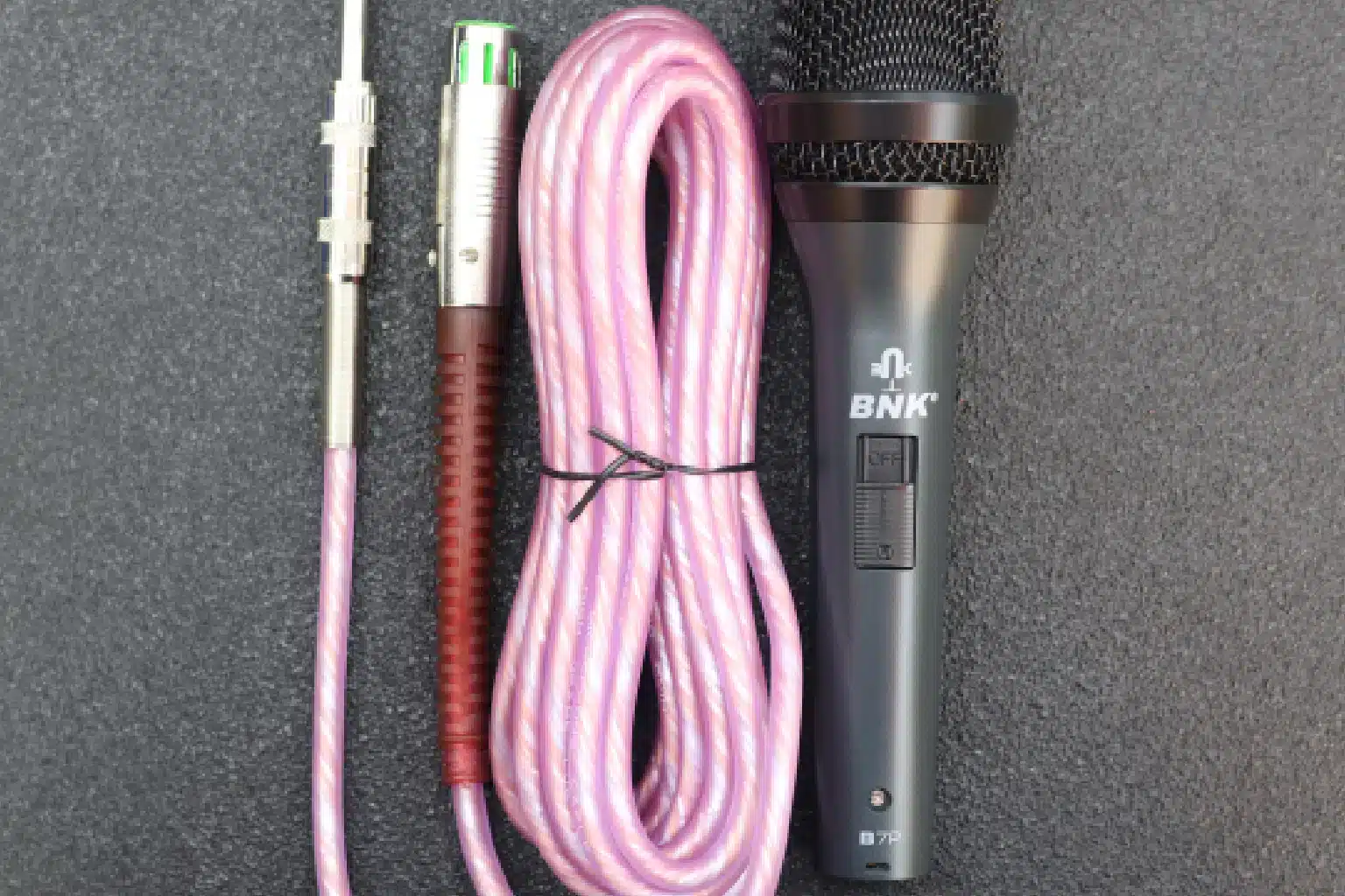 professional dynamic mic