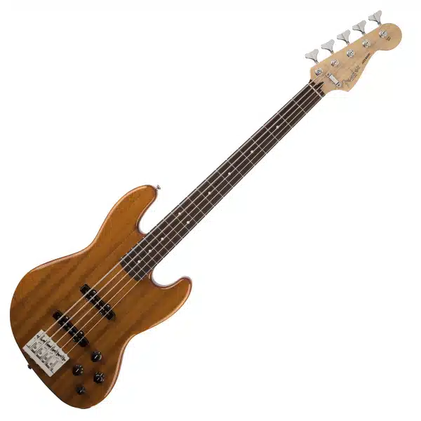 Fender 5 string bass guitar