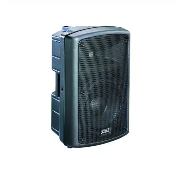 SOUNDKING 10-Inch FP 210 Speaker
