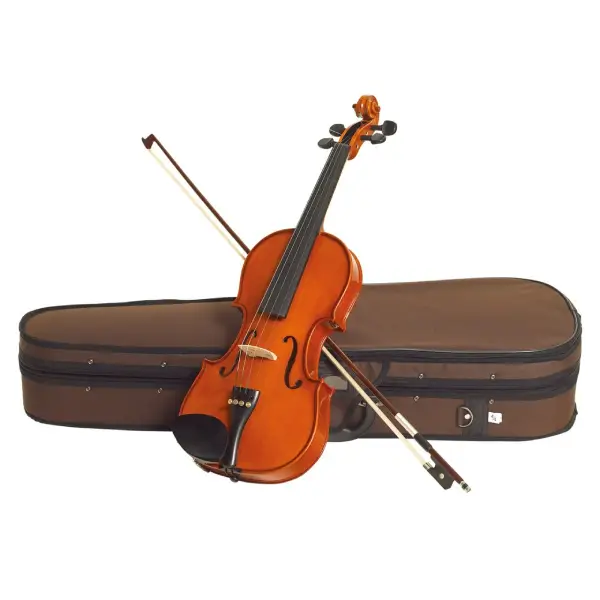Stentor Standard Violin