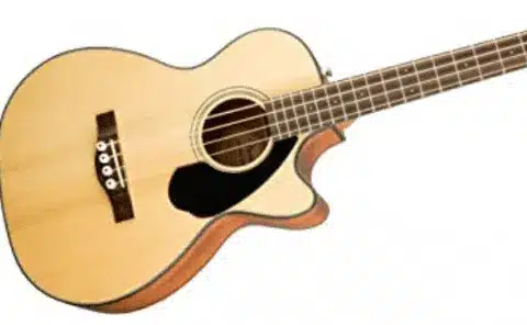 Semi Acoustic Bass Guitar