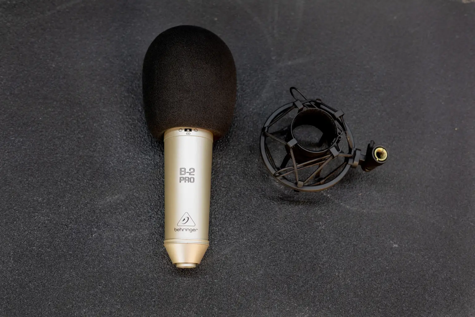 Professional Large Dual-Diaphragm Studio Condenser Microphone 